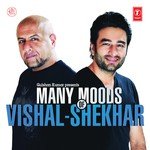 Many Moods Of Vishal-Shekhar - Akhil Sachdeva Song Download